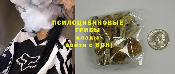 apvp Новозыбков