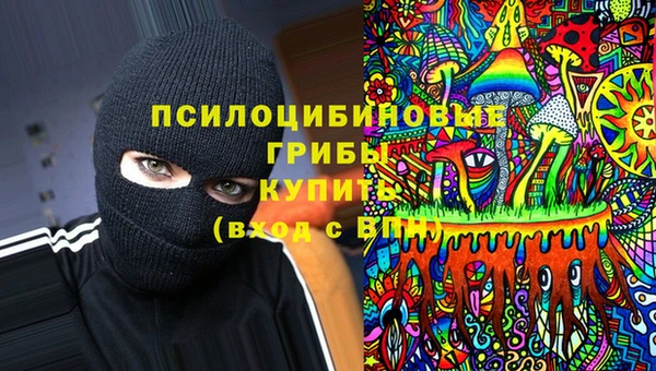 дурь Новокубанск