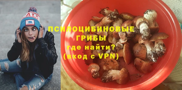 apvp Новозыбков