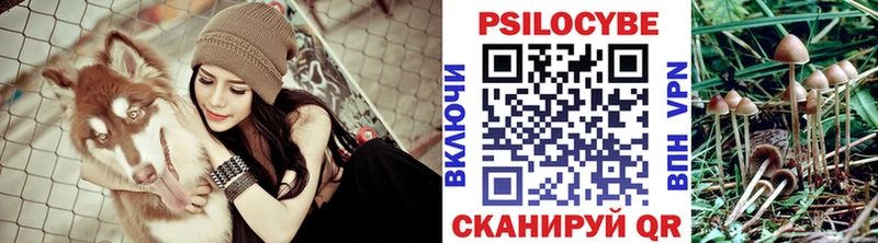 купить  цена  Лабытнанги  Псилоцибиновые грибы Psilocybine cubensis 