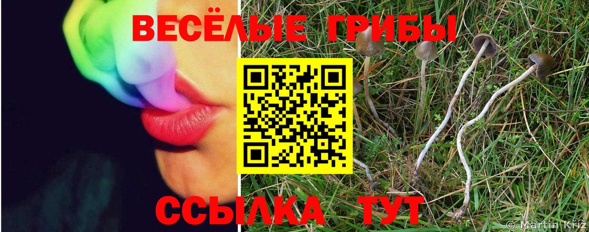 Псилоцибиновые грибы ЛСД Лабытнанги